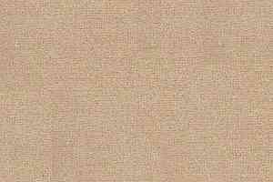 Ковролин Radici Abetone Grema 4484 фото  | FLOORDEALER